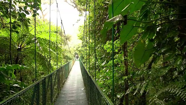 穿过雨林的步行桥视频下载
