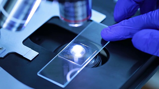研究人员在实验室使用显微镜视频下载