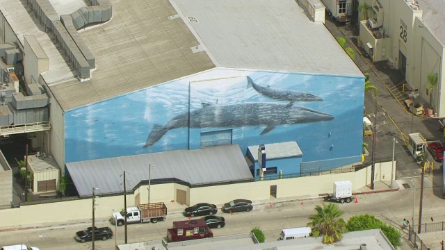 美国加州洛杉矶，派拉蒙工作室Stage 29大楼墙上的WS AERIAL POV鲸鱼壁画视频素材