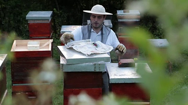 养蜂人在工作视频素材