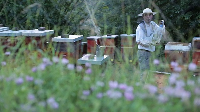 养蜂的业务视频素材
