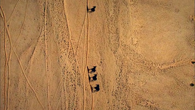 马穿越沙漠视频素材