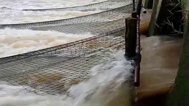 7、网钓鱼水流。视频下载
