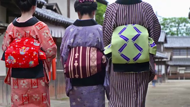 日本江户时代的一个村庄视频下载