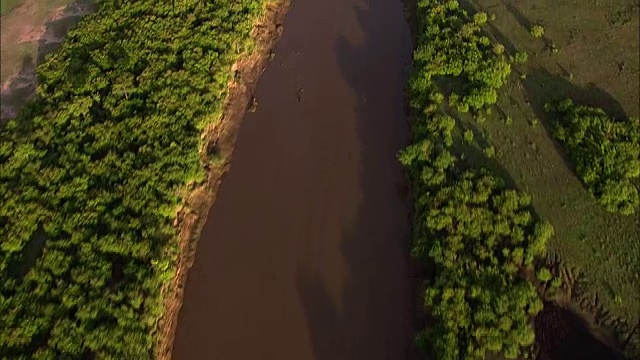 马拉河(航拍)视频下载