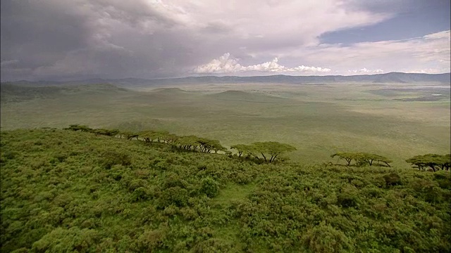 绿色参数Ngorongoro (Tansania)视频下载