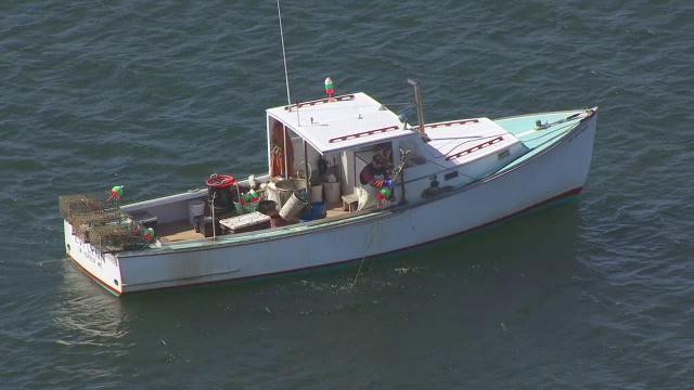 美国缅因州，在Mount Desert Island / Hancock县海上行驶的WS TS AERIAL POV渔船视频下载
