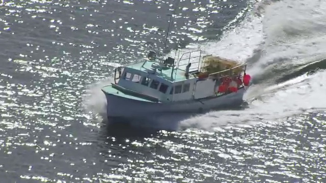 美国缅因州，在Mount Desert Island / Hancock县海上行驶的WS TS AERIAL POV渔船视频下载