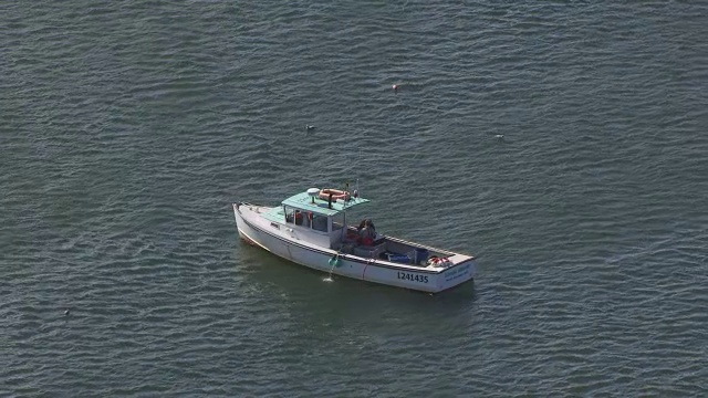 WS AERIAL POV在平静的海面上的孤独的小船/沙漠山，缅因州，美国视频下载