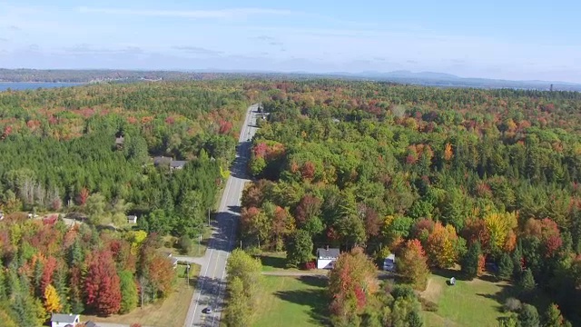 通过森林地区/美国缅因州汉考克县的WS空中POV公路视频素材