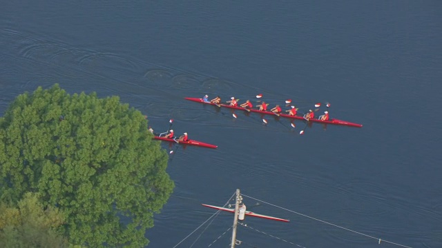 哈佛大学赛艇队上午在美国马萨诸塞州查尔斯河进行练习视频素材