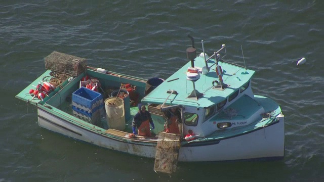 WS ZI AERIAL POV渔民采摘捕鱼陷阱，缅因州，美国视频下载