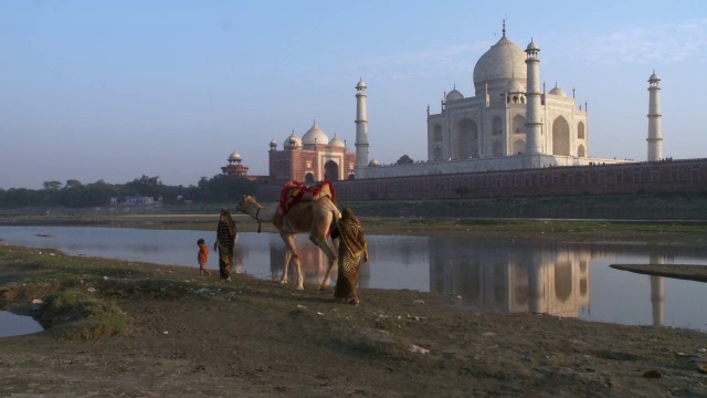 孩子，两位女士和一只骆驼走过泰姬陵视频素材