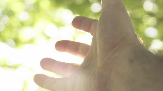 人的手和阳光视频素材