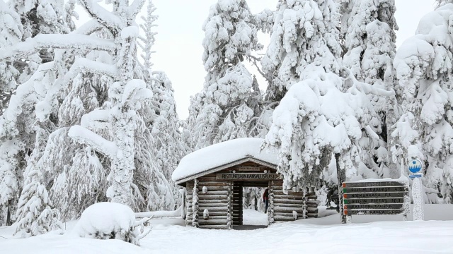 一名男性步行者进入芬兰的冰雪云杉森林视频下载