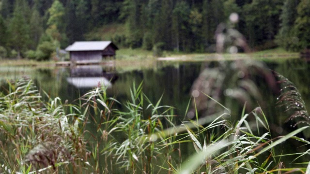 山湖，草叶，画落，草屋，架焦点视频素材