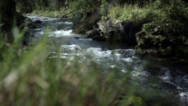 溪，水，架焦点，草视频下载
