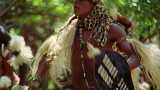 在南非夸祖鲁-纳塔尔省的德班，中镜头的祖鲁人穿着服装跳土著舞视频素材