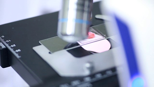 科学家使用显微镜观察样本视频购买