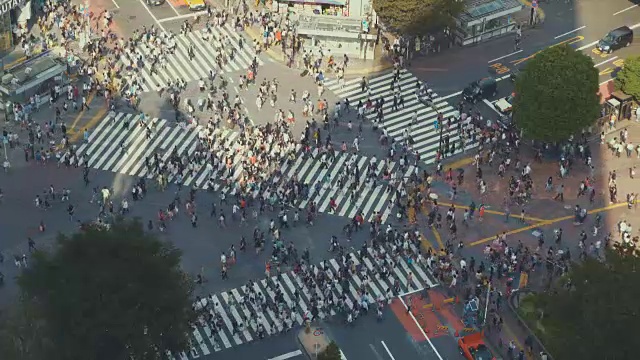 日本东京涩谷十字路口鸟瞰图视频素材