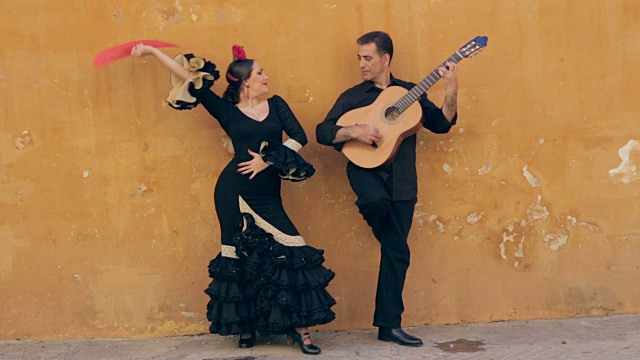 弗拉门戈舞蹈家。西班牙。视频下载