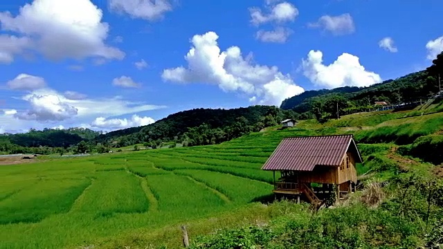 泰国北部清迈省Pa Pong Piang村山上的梯田视频素材