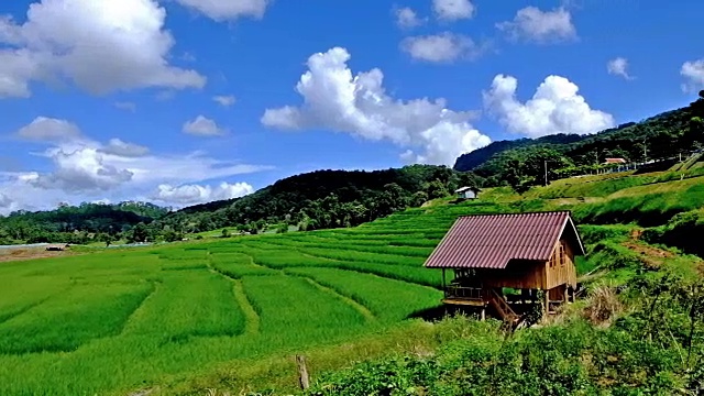 泰国北部清迈省Pa Pong Piang村山上的梯田视频素材