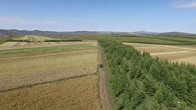 中国玉米地鸟瞰图视频素材