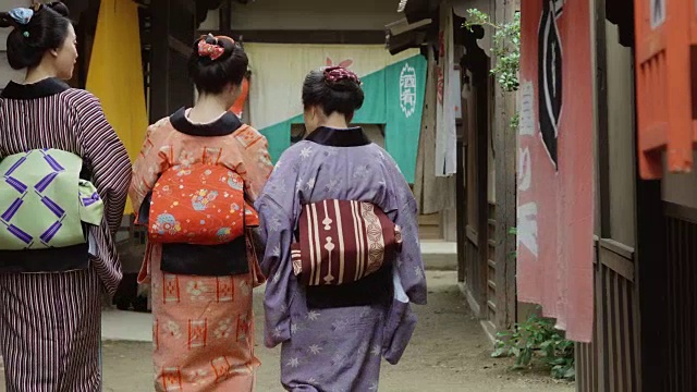 江户时代的村庄，穿着和服的妇女离开相机视频素材