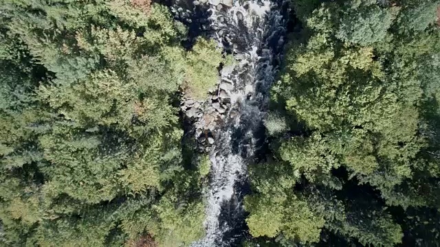 鸟瞰图的森林自然瀑布，魁北克，加拿大视频素材