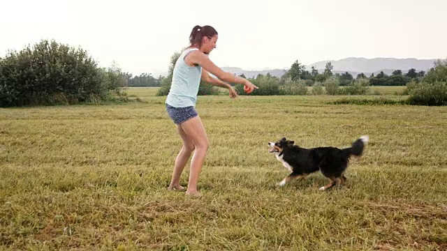 一个年轻的女人和她的狗在草地上玩视频素材