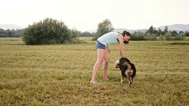 一个女人在草地上扔给她的狗一个球视频素材
