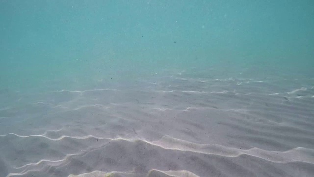 海景。爱琴海。慢动作视频素材