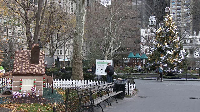 圣诞装饰，节日季节，麦迪逊广场公园-熨斗区纽约视频下载