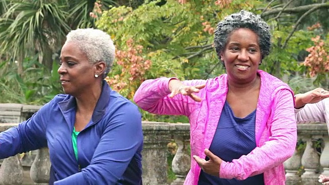 高级非裔美国妇女在公园里打太极视频下载