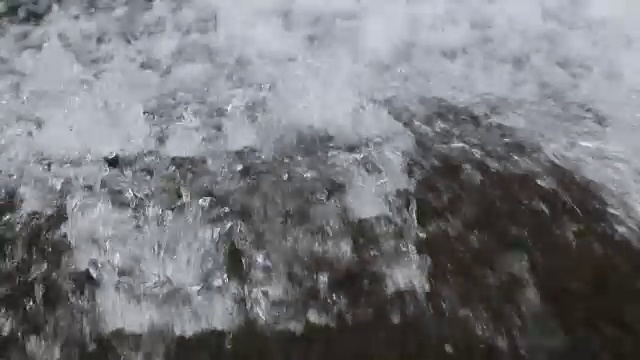 瀑布下面有小鱼。视频下载