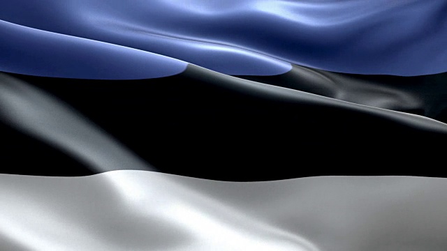 爱沙尼亚国旗波浪图案可循环元素视频素材
