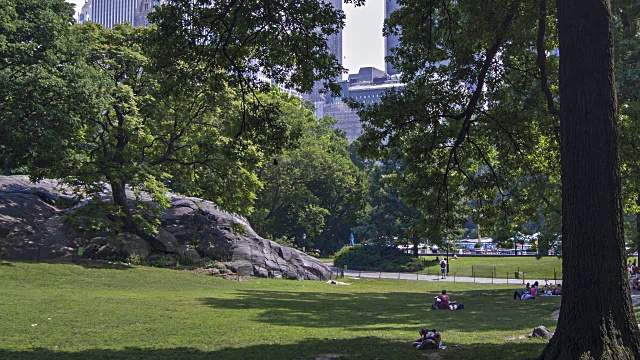 中央公园，曼哈顿，美国纽约视频素材