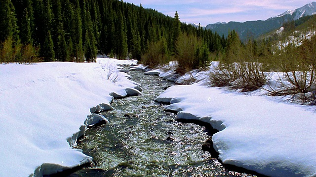 科罗拉多特柳赖德附近森林覆盖的落基山脉的宽射溪雪视频素材