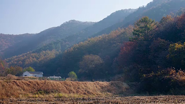 拍摄于京畿道安阳地区的乡村景色视频下载
