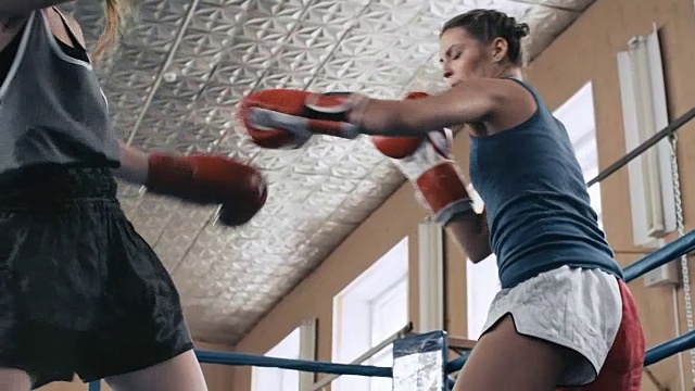 两个女拳击手在拳击场上互相攻击视频下载