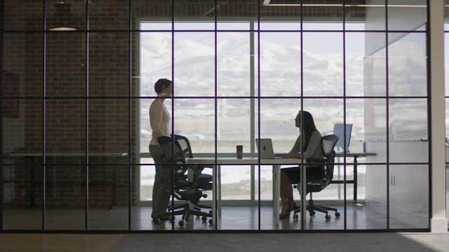 “商界女性在会议上讲话的宽镜头/美国犹他州雷伊”视频素材