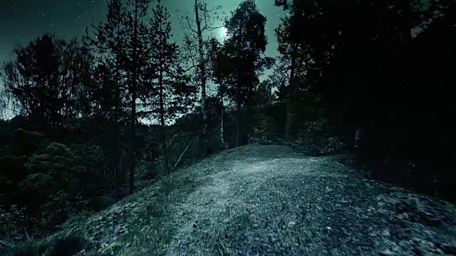 夜晚的森林视频素材