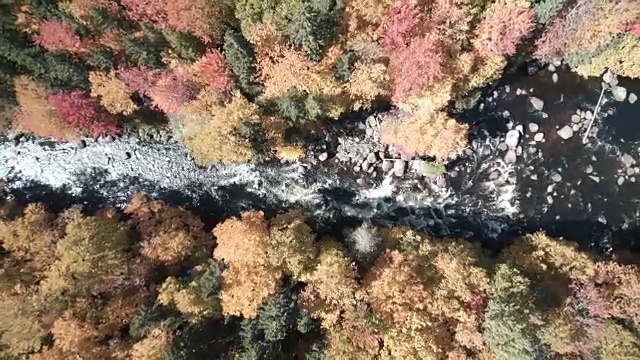 鸟瞰图的森林自然瀑布，魁北克，加拿大视频素材