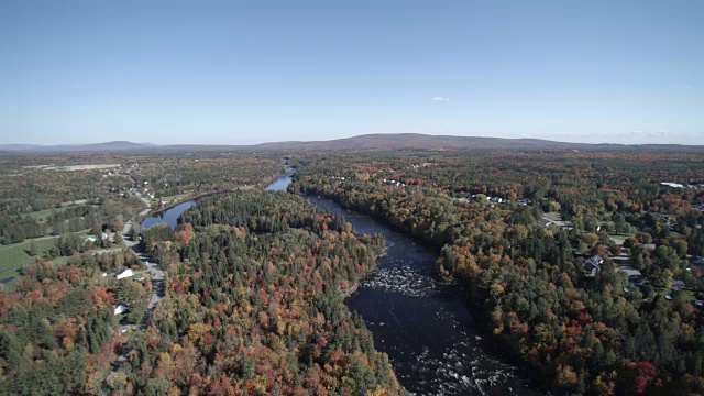 鸟瞰图的河流在森林自然，魁北克，加拿大视频素材