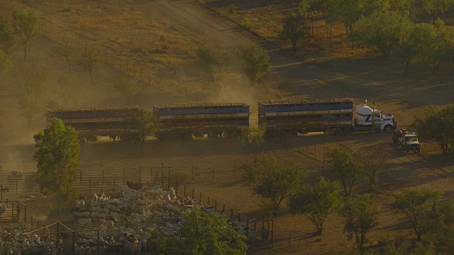 澳大利亚:牲畜卡车视频下载