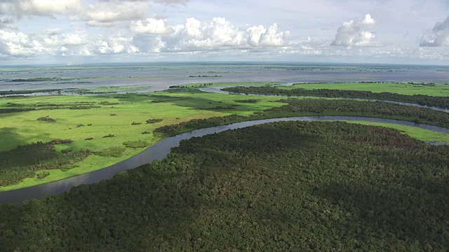 刚果:阿利马河流入刚果视频下载
