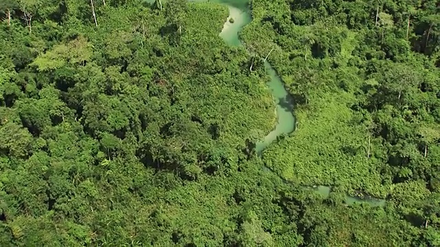 刚果:翡翠河视频下载