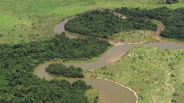 刚果:Likouala沼泽视频下载