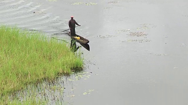 刚果:在利库拉沼泽划独木舟的人视频下载